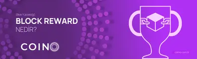 Block Reward (Blok Ödülü) Nedir?